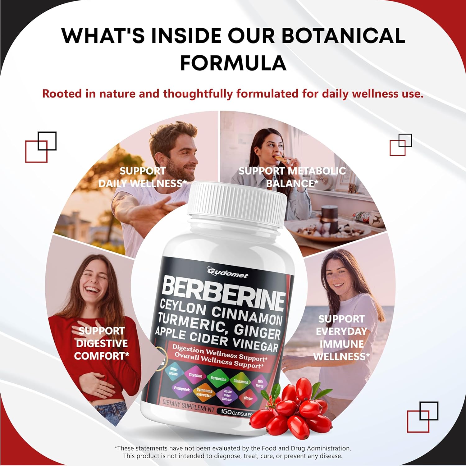 Berberine Ceylon Cinnamon - All-in-1 Supplement with Bitter Melon AVG Gymnema sylvestre Turmeric Milk Thistle Licorice Holy Basil Fenugreek Banaba - Image 3