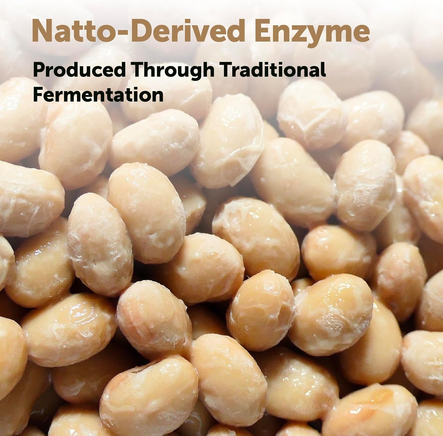 Micro Ingredients Nattokinase 10,000 FU Per Serving (Natural Natto Extract), 240 Vegetarian Capsules | with CoQ10, Turmeric, Aged Garlic & Pine Bark Extract | Non-GMO, Lab Tested, cGMP Manufactured - Image 4