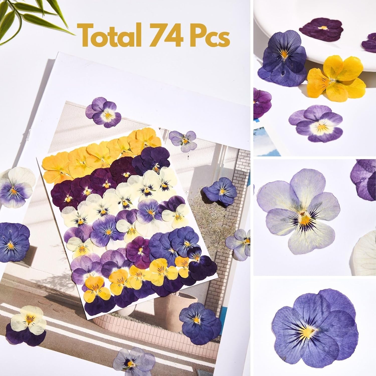 74 Pcs Edible Flowers for Cocktails Cake Decorating Drinks, Real Dried Pressed Flowers Cupcake Toppers, Food Grade Dry Flowers for Crafts Resin Mix with Pansy, Heart Rose Petals, Orange - Image 3