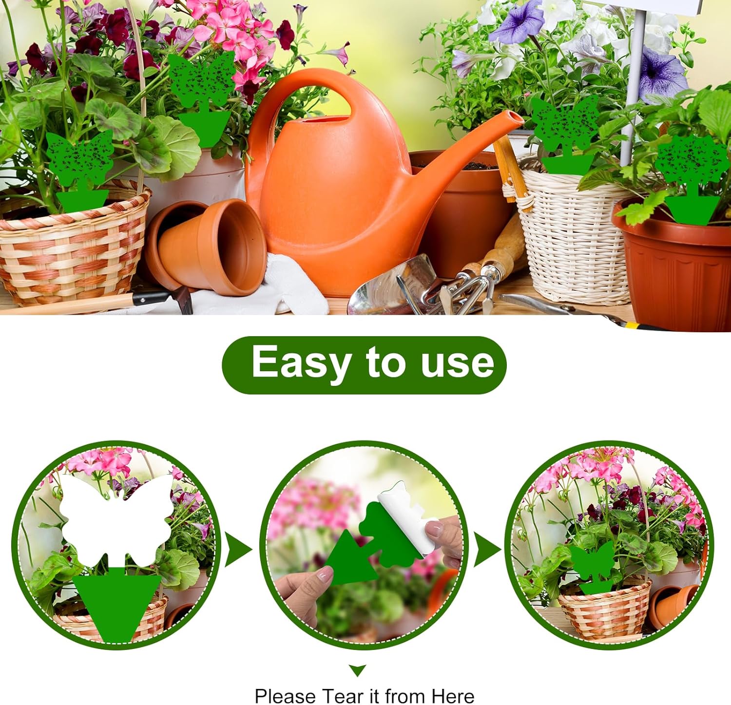 Fruit Fly Traps, 60 Pack Green Stick Traps, Fungus Gnat Traps, Plant Fly Stickers for Indoor and Outdoor Use Protect The Plant - Image 3