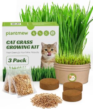 Cat Grass Kit for Indoor Cats, 3 Pa...