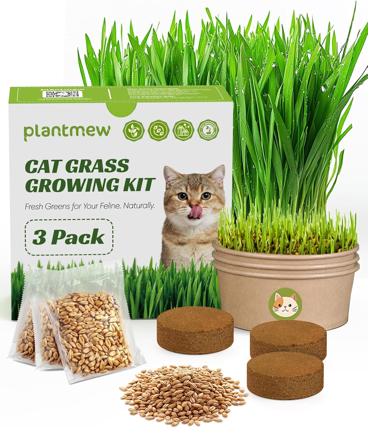 Cat Grass Kit for Indoor Cats, 3 Pack Fast Growing Cat Grass Kit with Eco-Friendly Biodegradable Pots, Soil & Wheatgrass Seeds, Grows in 3-7 Days with High Germination Rate