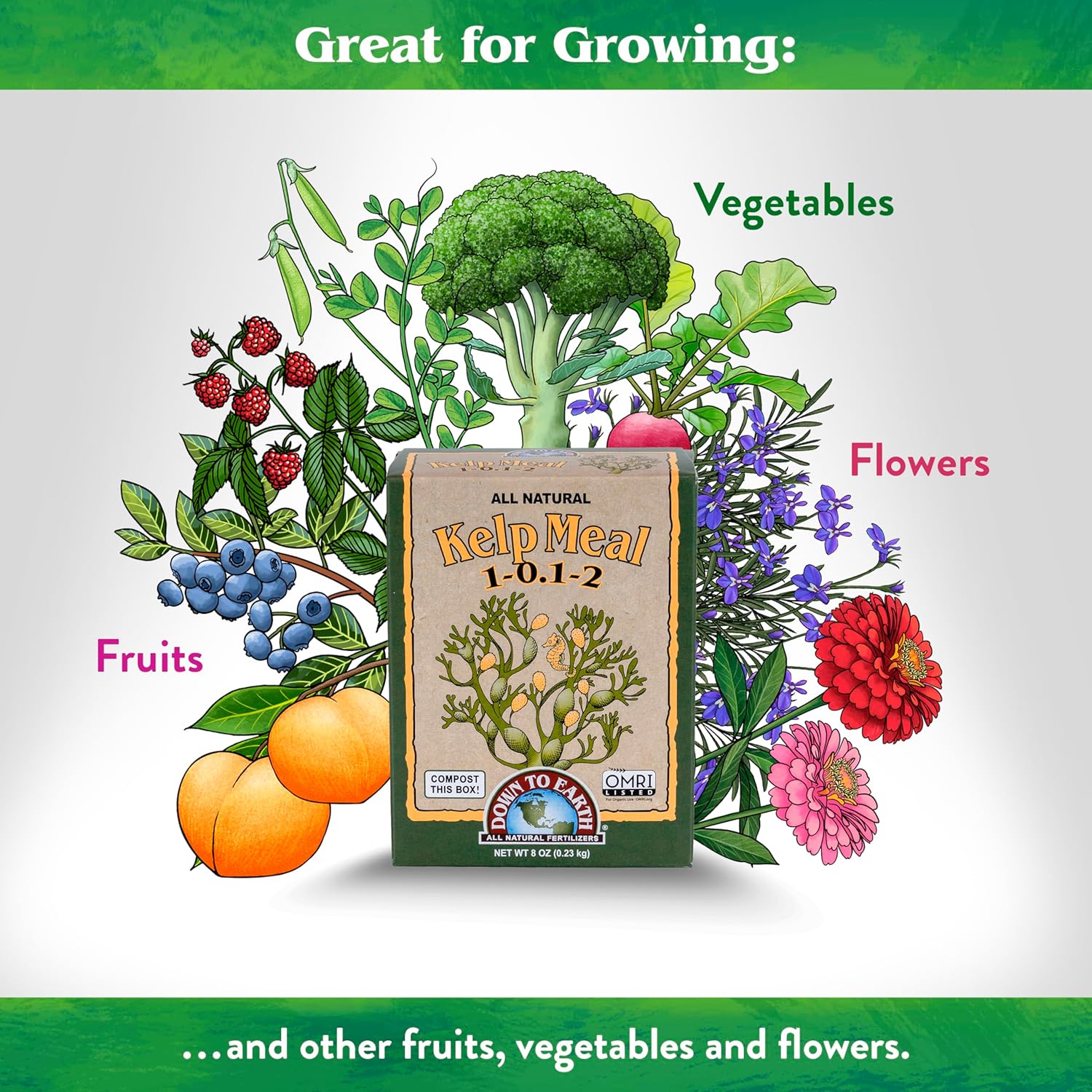 Down To Earth All Natural Fertilizers Organic Kelp Meal - Plant Food with Seaweed (Ascophyllum nodosum), Potassium and Trace Minerals 1-0.1-2, 0.5 lb - Image 3