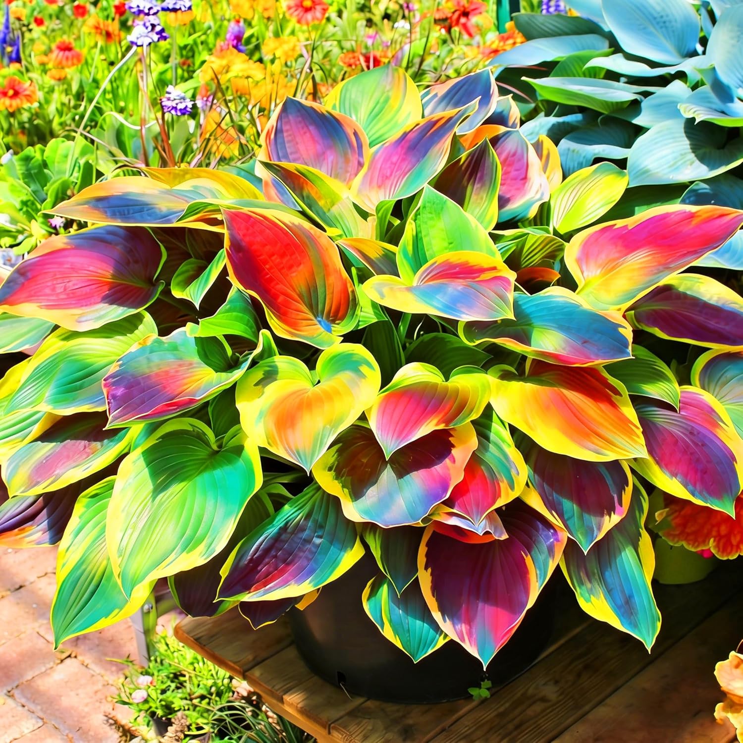 Hosta Seeds for Planting, 230+pcs Rare Perennial Hosta Flower Seeds, Non-GMO Heirloom Long Blooming Plants Shaded Entry Pathway Flowers for Garden Outdoors - Image 3