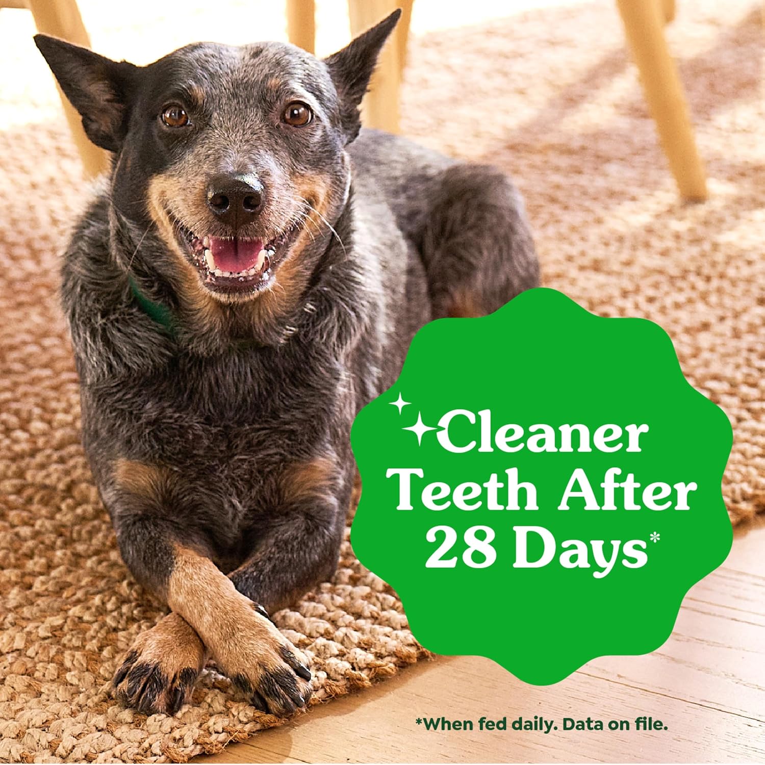 Greenies Veterinarian-Recommended Adult Natural Dental Dog Treats Large Size, Weight Management Dog Dental Chews, 27 oz. Pack, 17 Count - Image 5