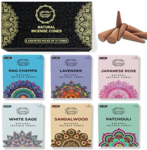 Raajsee Natural Incense Cones,6 Pac...