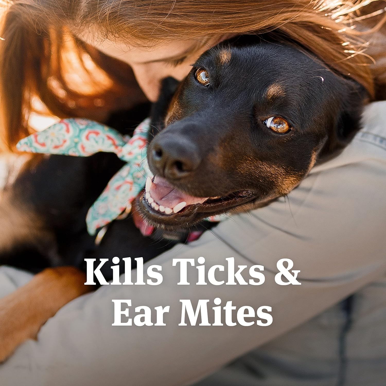 PetArmor Ear Mite Treatment for Dogs, Ear Mite Medicine Kills Ticks and Ear Mites to Relieve Itchiness, Sooths Ears with Aloe, 3oz - Image 2