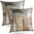 Beige and Grey Throw Pillow Covers 18X18 Brown Abstract Art Painting Aesthetic Modern Square Decorative Pillow Covers Soft Throw Pillows for Couch Sofa Bedroom, Set of 2