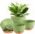 Nooulap 8/8/10/12 Inch Pots for Indoor Plants, 4 Pack Large Self Watering Planters with Drainage and Saucers, Plastic Outdoor Flower Pot(Green)