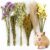 Sukh 42Pcs Herb Bedding Habitat Decor – Natural Flower Hamster Mate Herbs Sprays Cage Safe Pet Accessories Decorations Hideout for Hamsters Mouse Guinea Pig Dwarf Gerbils Syrian Mice