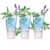 PROcure Epsom Salt Rub Gel – Concentrated Muscle Relief with Organic Aloe Vera & Essential Oils for Aches, Soreness & Tension – 3 Pack
