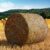 Large Round Bale Hay Net, 5x5FT Knotless Hay Nets for Horses Slow Feed, Heavy Duty Livestocks Haynet for 4×4/5×5 or Square Bale 3x3x8/4x4x8