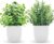 2 Pack Fake Plants Small Artificial Greenery Faux Plants Indoor for Home Farmhouse Bathroom Shelf Decor